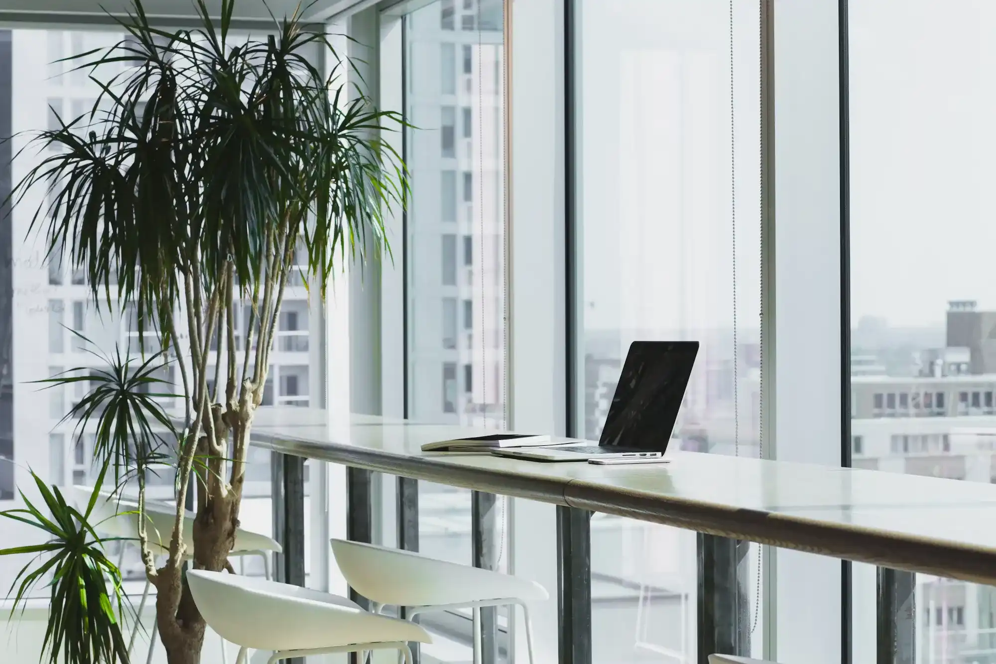 Wide Office View